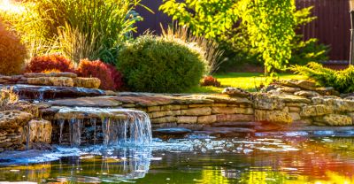 Landscape Planning!